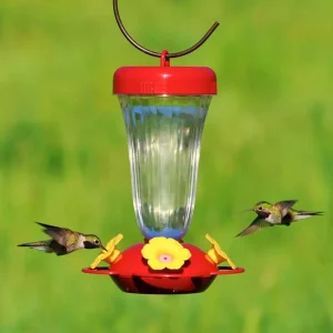 Abreuvoir à colibris large ouverture avec pétunia jaune